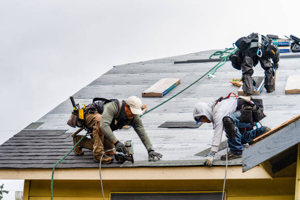 Professional Roofing technician working in Holden, MA
